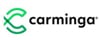 logo carminga klein